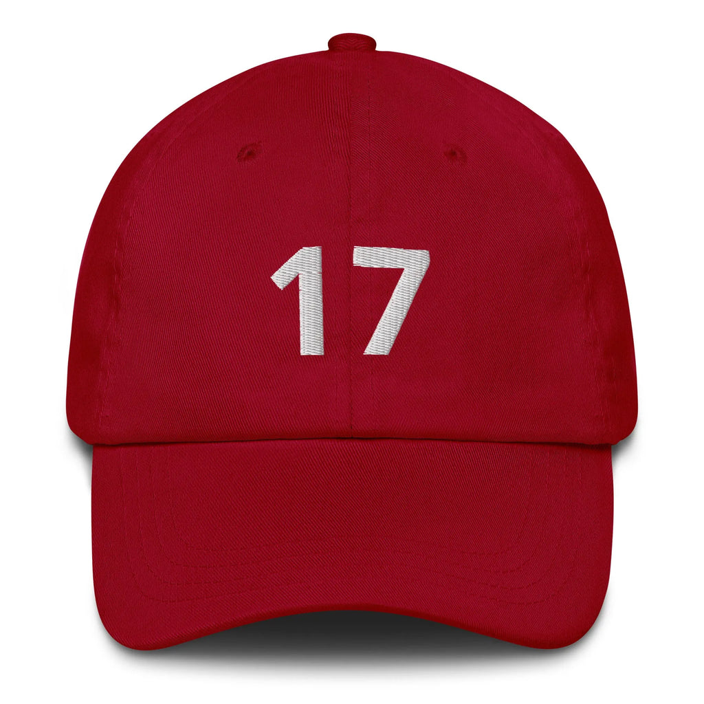 17 Hat Favorite Number 17 years old Birthday Gift