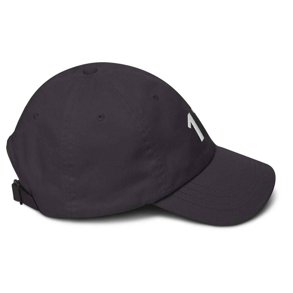 17 Hat Favorite Number 17 years old Birthday Gift