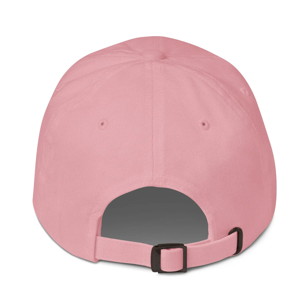 17 Hat Favorite Number 17 years old Birthday Gift