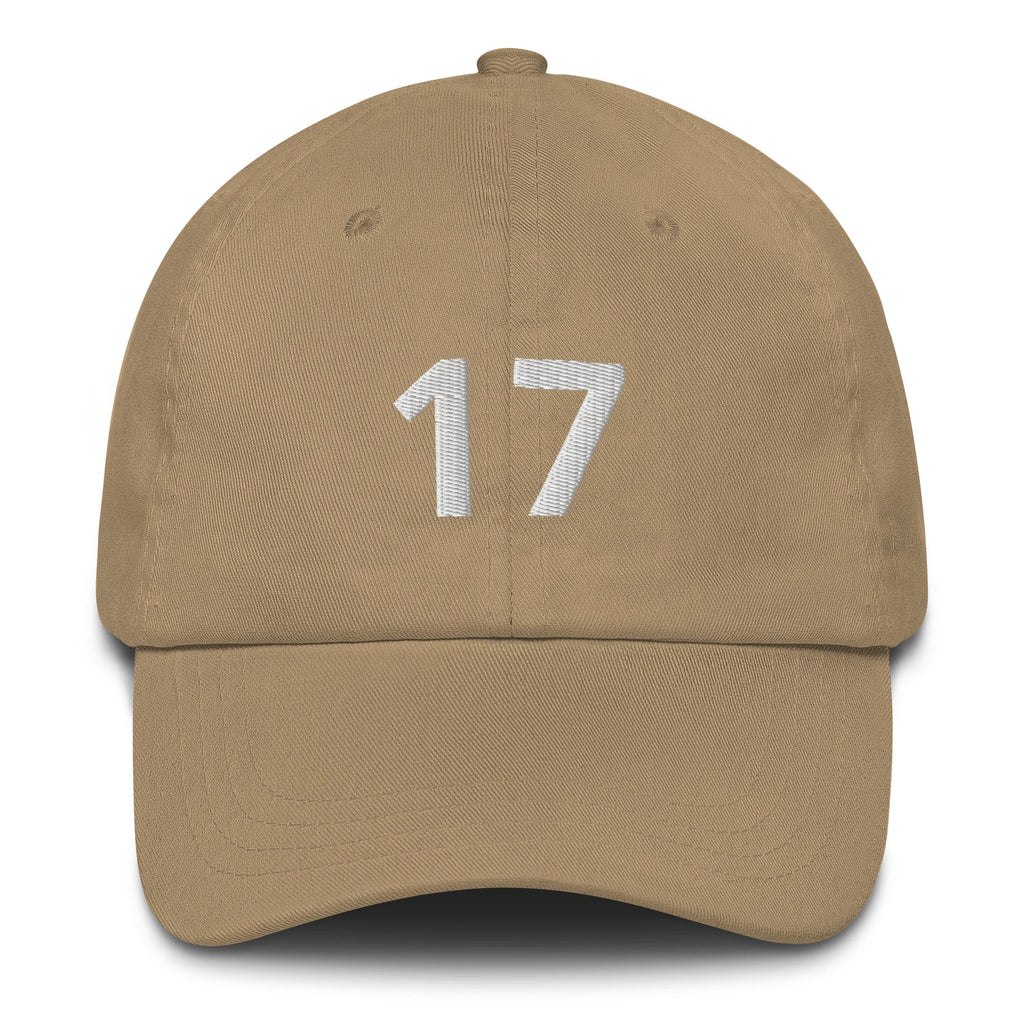 17 Hat Favorite Number 17 years old Birthday Gift