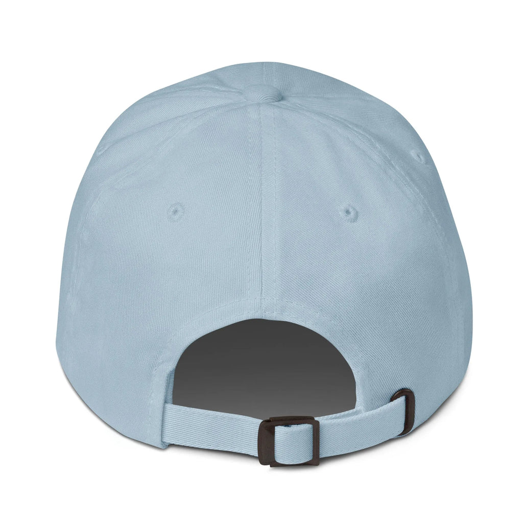 17 Hat Favorite Number 17 years old Birthday Gift