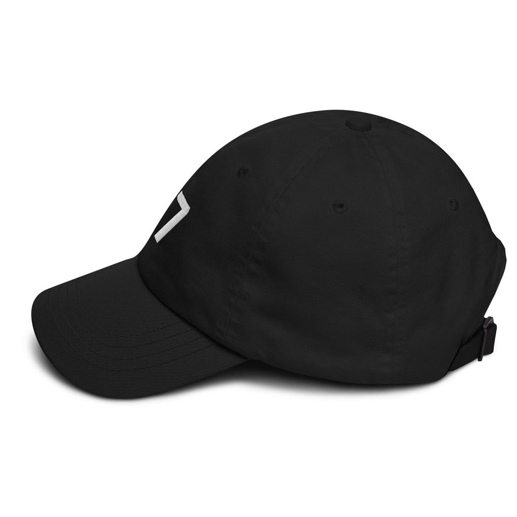 17 Hat Favorite Number 17 years old Birthday Gift