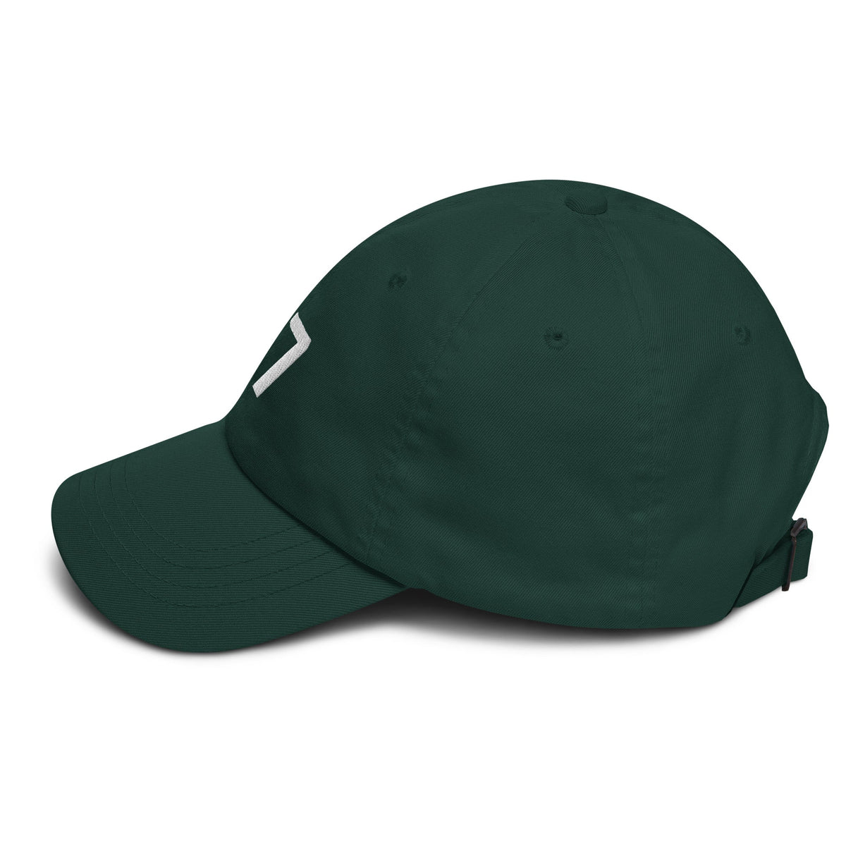 17 Hat Favorite Number 17 years old Birthday Gift