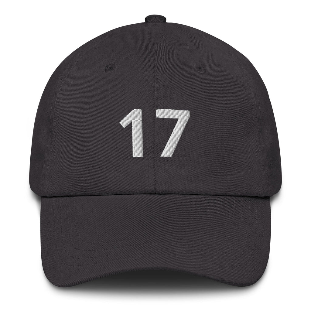 17 Hat Favorite Number 17 years old Birthday Gift