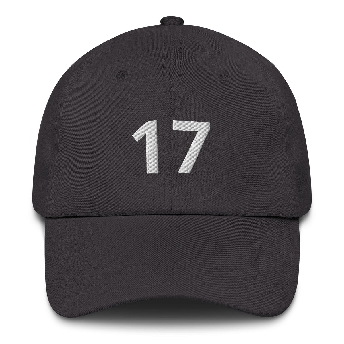 17 Hat Favorite Number 17 years old Birthday Gift