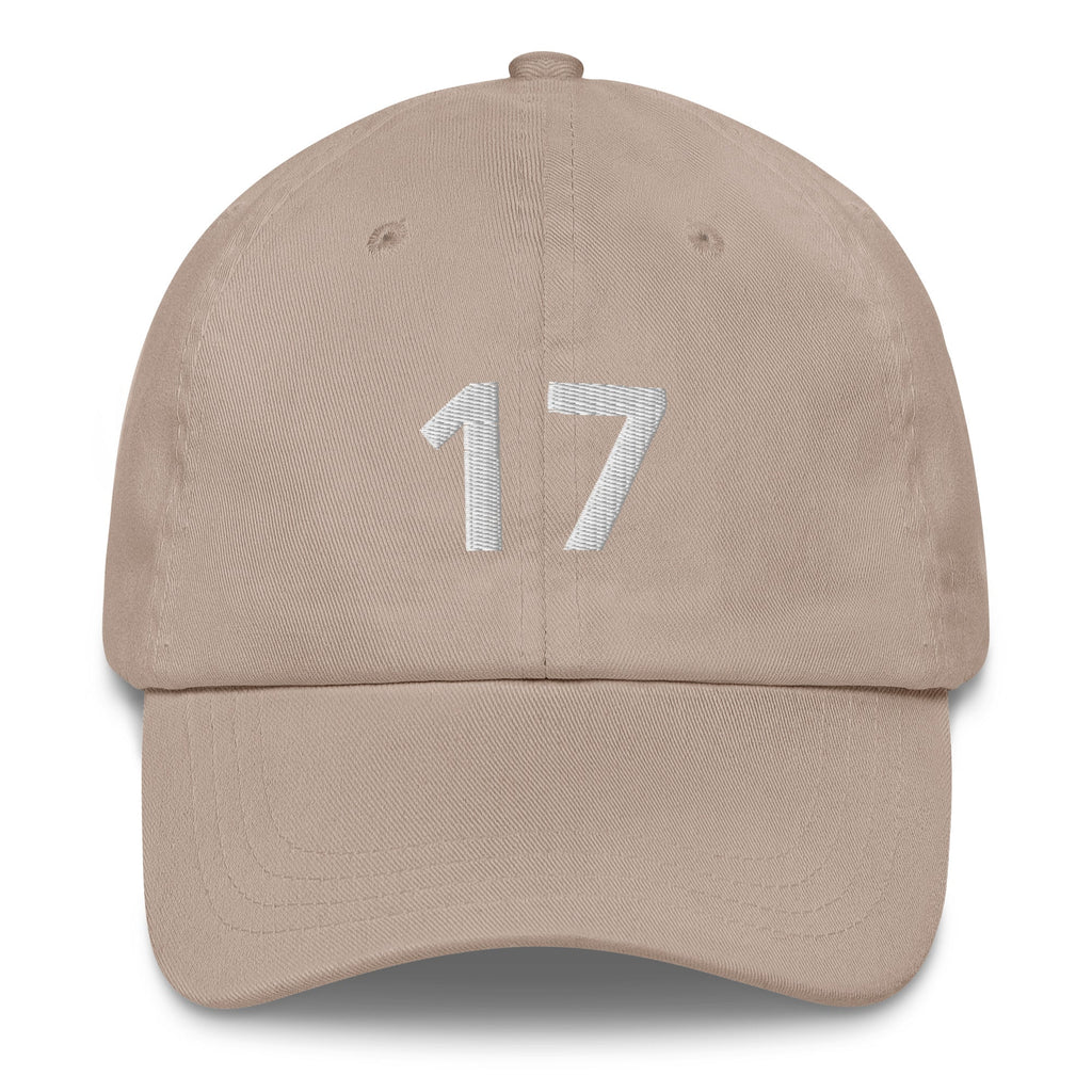 17 Hat Favorite Number 17 years old Birthday Gift