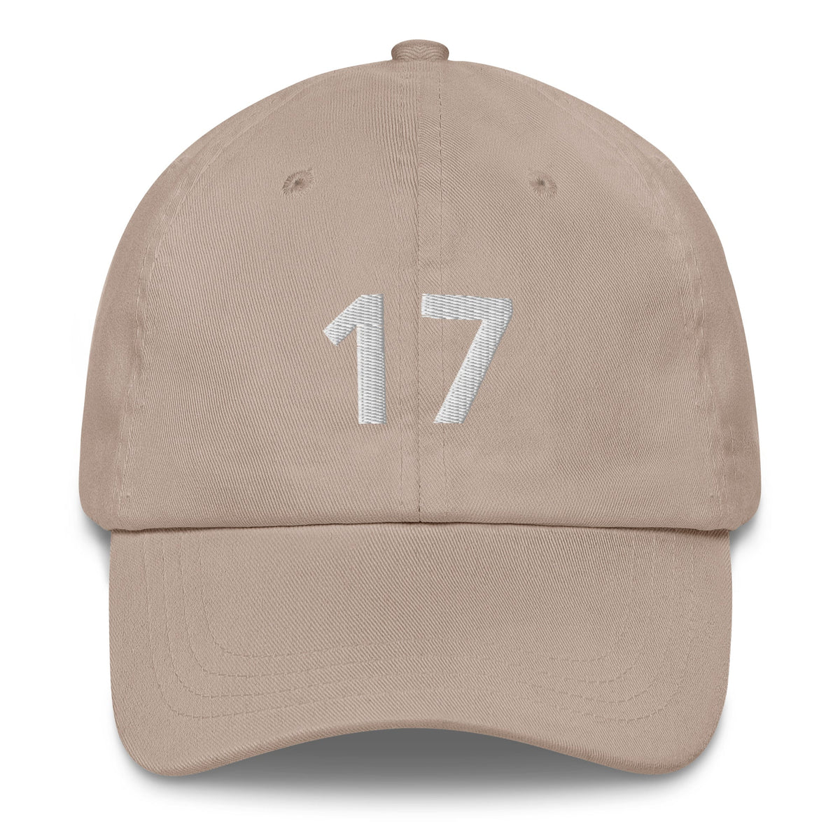 17 Hat Favorite Number 17 years old Birthday Gift