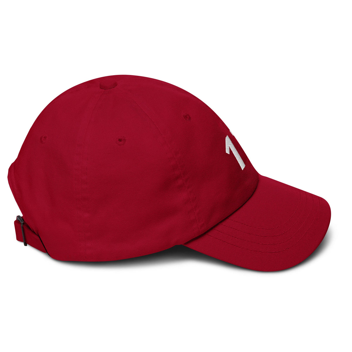 17 Hat Favorite Number 17 years old Birthday Gift