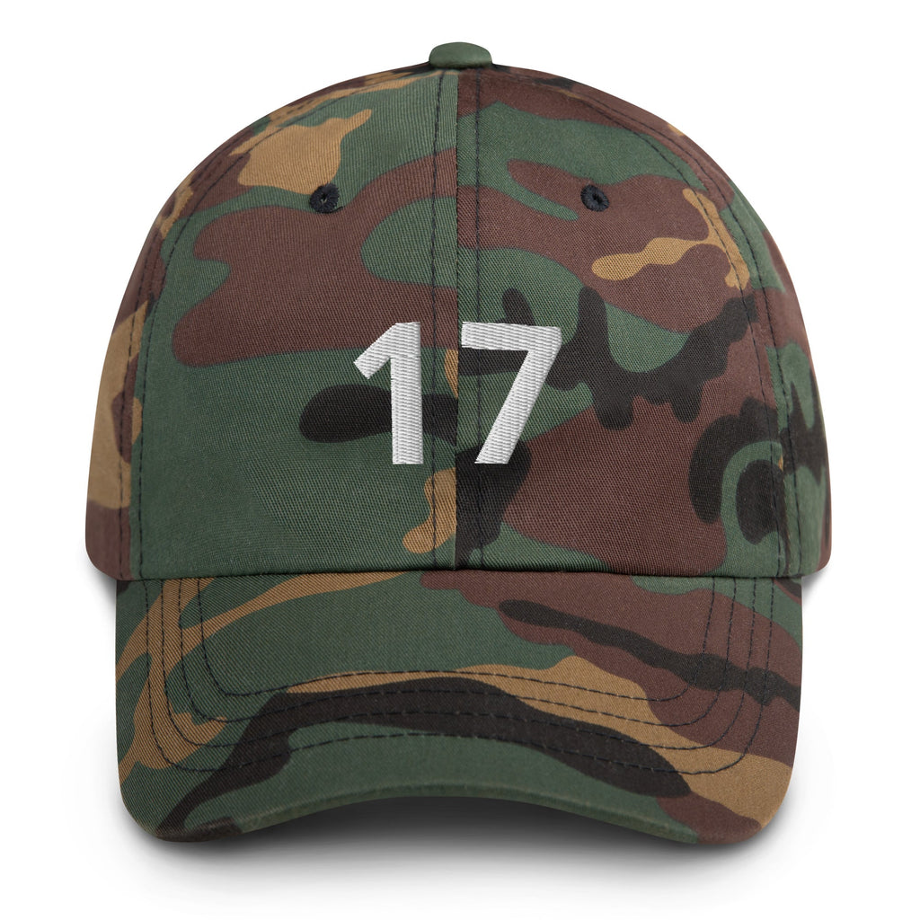 17 Hat Favorite Number 17 years old Birthday Gift