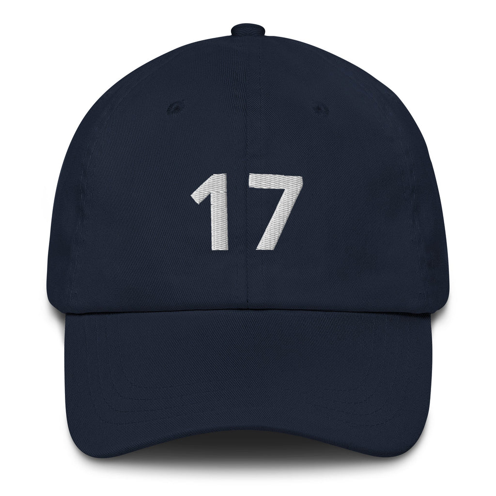 17 Hat Favorite Number 17 years old Birthday Gift