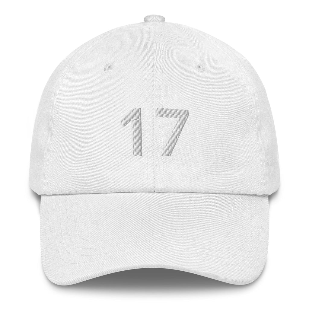 17 Hat Favorite Number 17 years old Birthday Gift