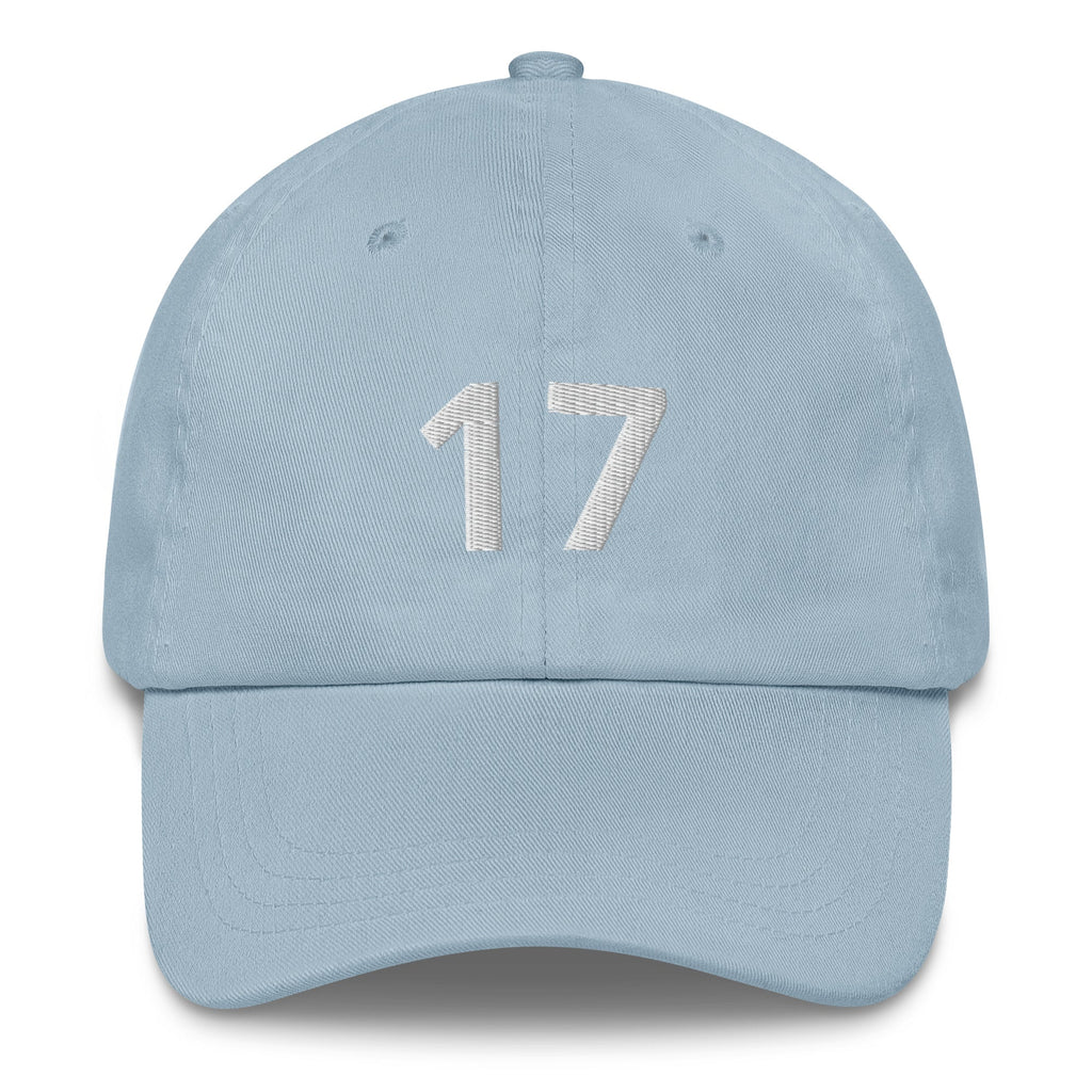 17 Hat Favorite Number 17 years old Birthday Gift