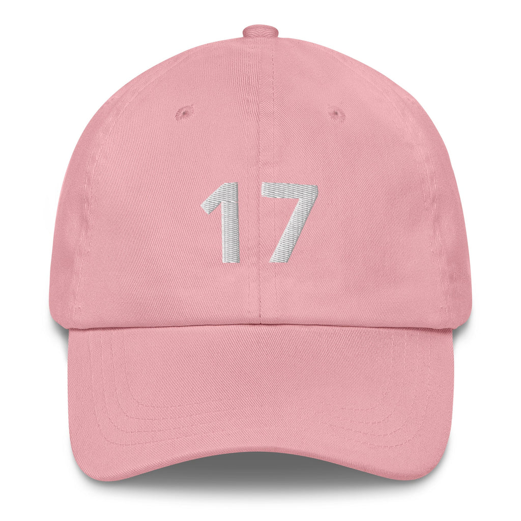 17 Hat Favorite Number 17 years old Birthday Gift