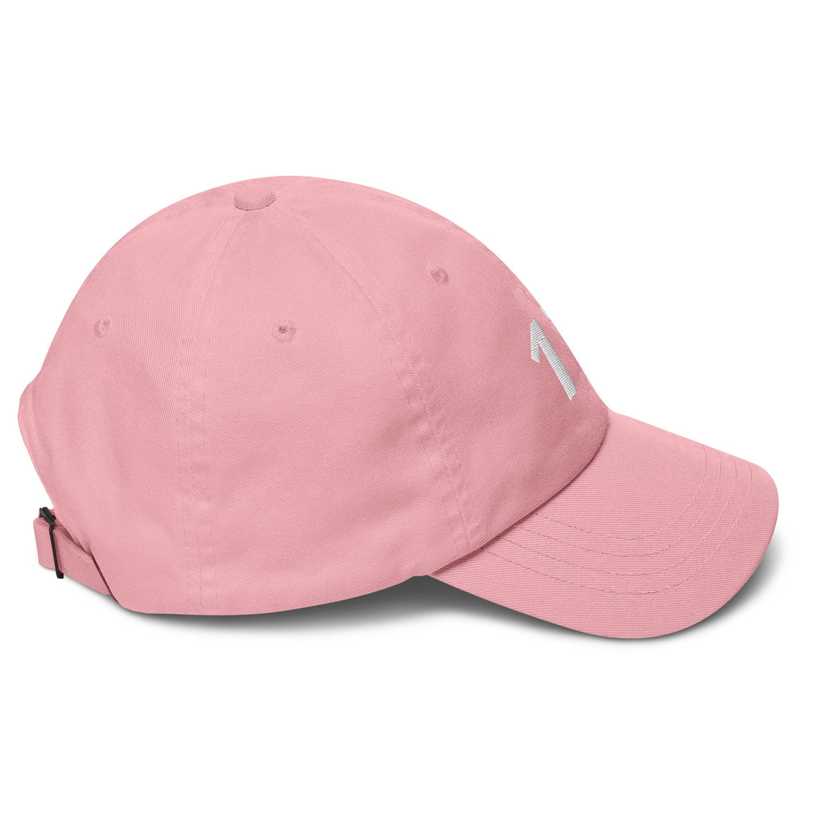 17 Hat Favorite Number 17 years old Birthday Gift