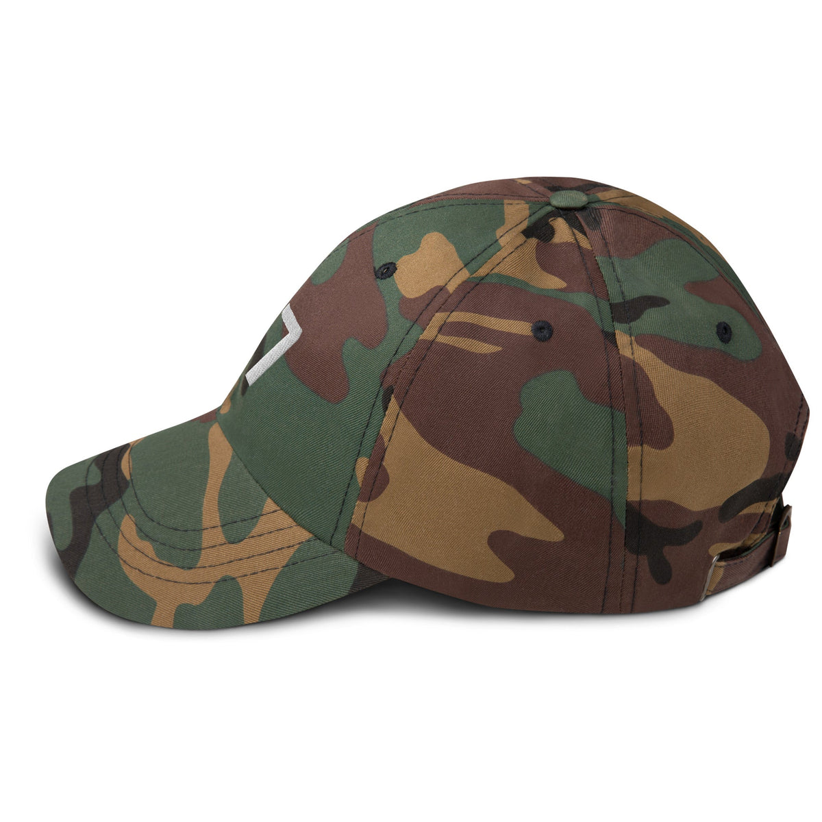 17 Hat Favorite Number 17 years old Birthday Gift