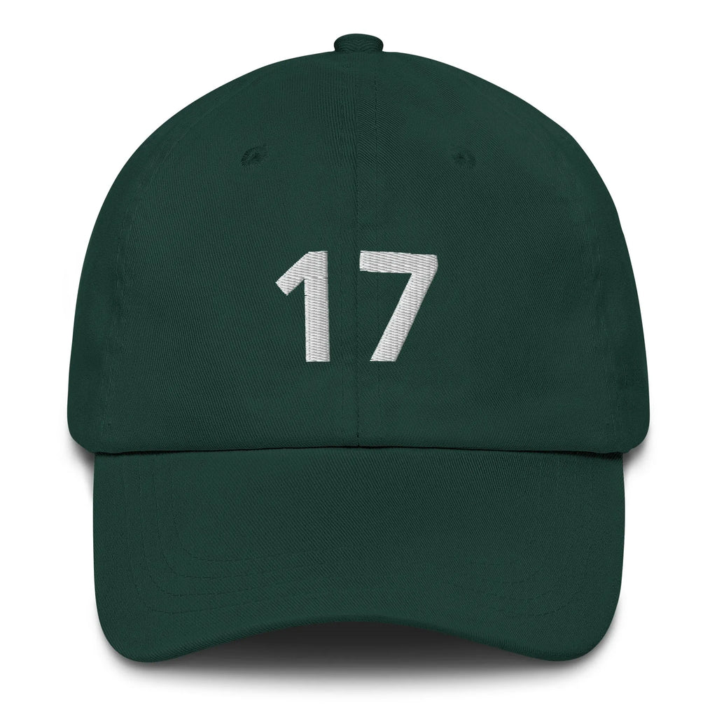 17 Hat Favorite Number 17 years old Birthday Gift