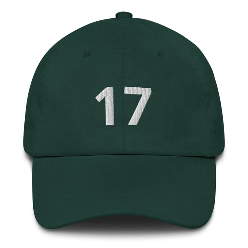 17 Hat Favorite Number 17 years old Birthday Gift