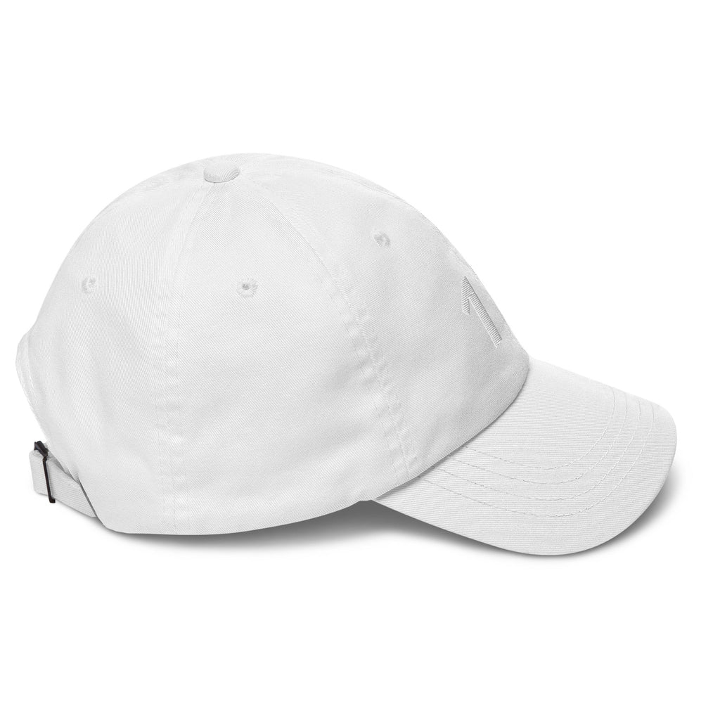 17 Hat Favorite Number 17 years old Birthday Gift