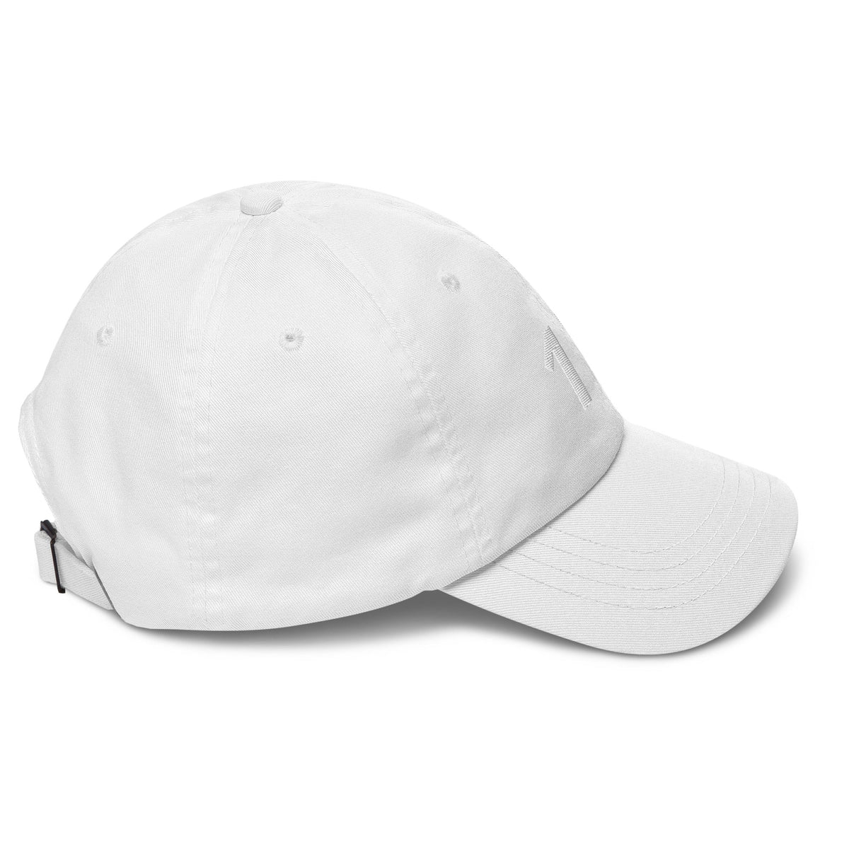 17 Hat Favorite Number 17 years old Birthday Gift